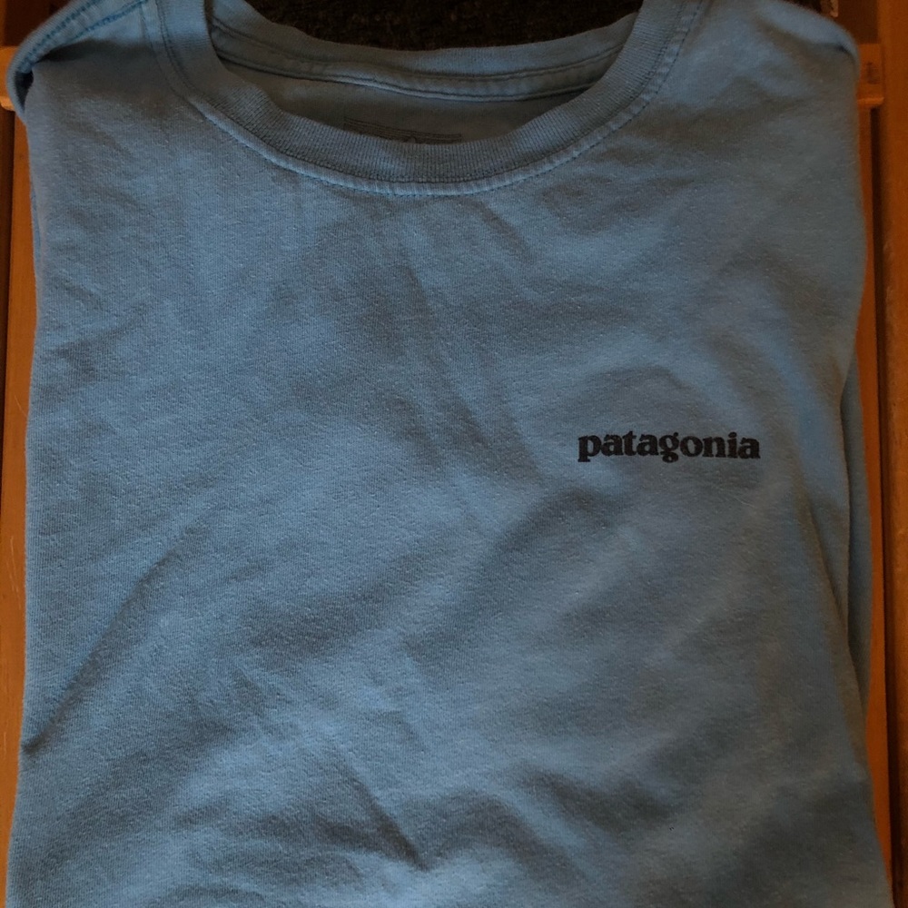 Patagonia T Shirt
